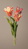 Coral Parrot Tulip Bouquet