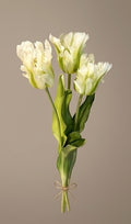 Green Parrot Tulip Bouquet