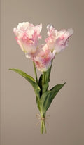 Soft Pink Parrot Tulip Bouquet