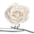 LACE/PEARL ROSE FLOWER ON CLIP -  FF 99406