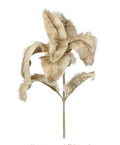FURRY LEAF STEM - AL 70272