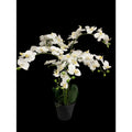 Yapay Beyaz Orkide