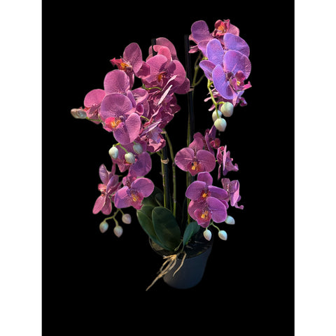 Pembe Yapay Orkide